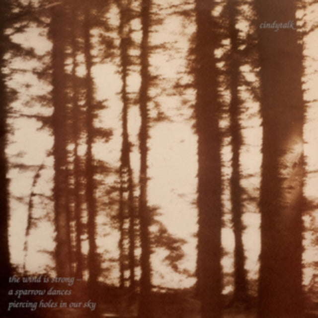 CINDYTALK | WIND IS STRONG | VINYL RECORD (LP)