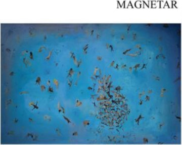 MAGNETAR | VINYL RECORD (LP)