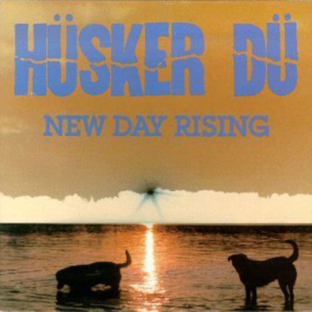 HUSKER DU | NEW DAY RISING | VINYL RECORD (LP)