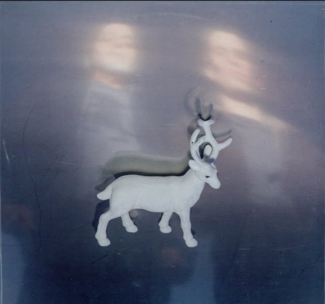 GOOTER, BUCK | STAINLESS STEEL MIRRORS | VINYL RECORD (LP)