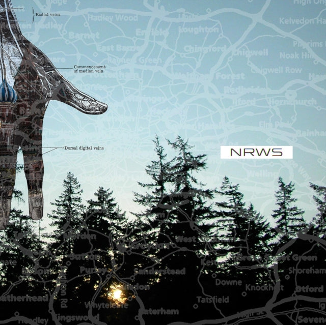 NARROWS | NEW DISTANCES | VINYL RECORD (LP)