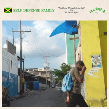 SELF DEFENSE FAMILY | I'M GOING THROUGH SOME SHIT | 7IN VINYL