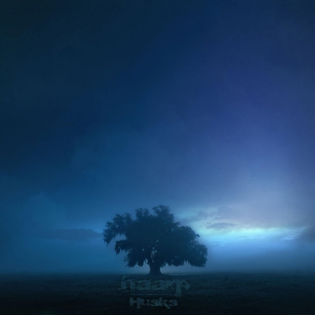 HAARP | HUSKS | VINYL RECORD (LP)