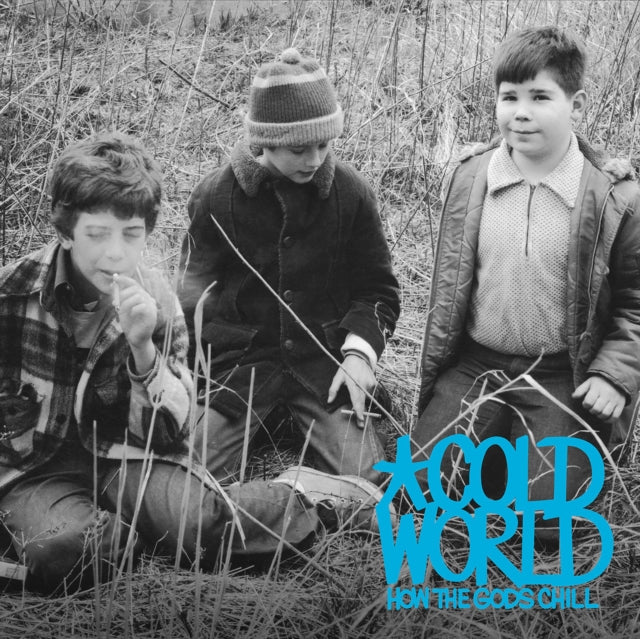COLD WORLD | HOW THE GODS CHILL | VINYL RECORD (LP)