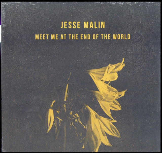 MALIN, JESSE | MEET ME AT THE END OF THE WORLD | VINYL RECORD (LP)