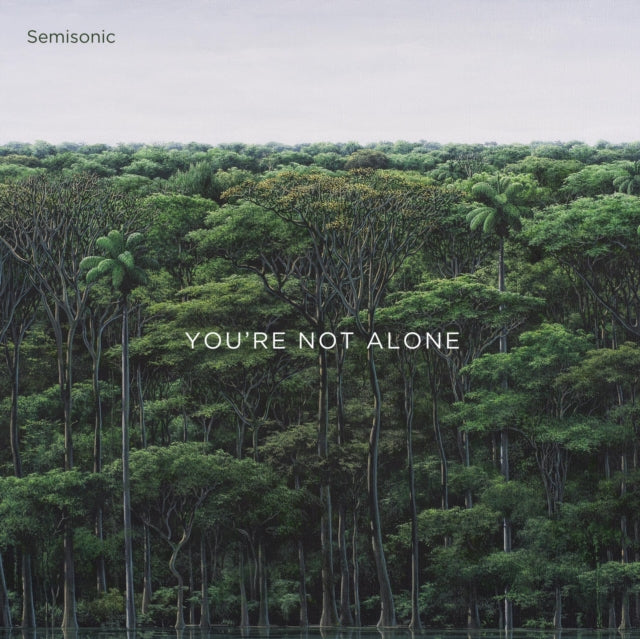 SEMISONIC | YOU'RE NOT ALONE | 12IN VINYL