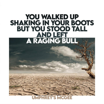 YOU WALKED UP SHAKING IN YOUR BOOTS BUT YOU STOOD TALL & LEFT A RAGING BULL | VINYL RECORD (LP)