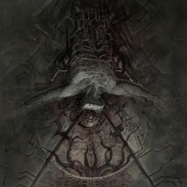 OUR PLACE OF WORSHIP IS SILENCE | DISAVOWED /& LEFT HOPELESS | VINYL RECORD (LP)