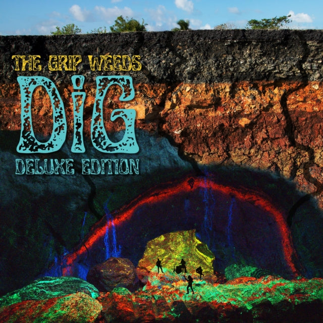 GRIP WEEDS | DIG | VINYL RECORD (LP)