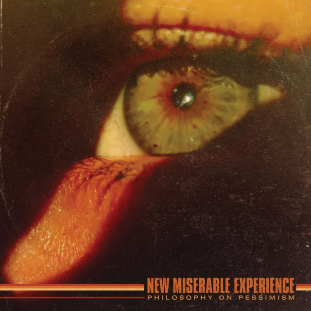 NEW MISERABLE EXPERIENCE | PHILOSOPHY ON PESSIMISM | VINYL RECORD (LP)