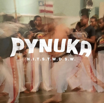 PYNUKA | N.I.T.S.T.W.D.S.W. | VINYL RECORD (LP)