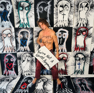 YOU'RE NOT A GHOST ANYMORE (3LP) | VINYL RECORD (LP)