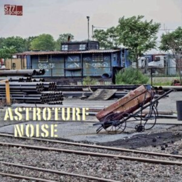 ASTROTURF NOISE | ASTROTURF NOISE (DL CARD) | VINYL RECORD (LP)