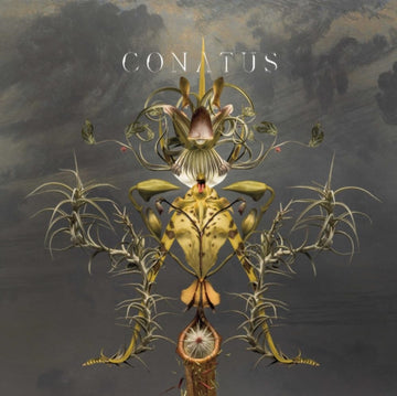 BEVING, JOEP | CONATUS (2 LP) | VINYL RECORD (LP)