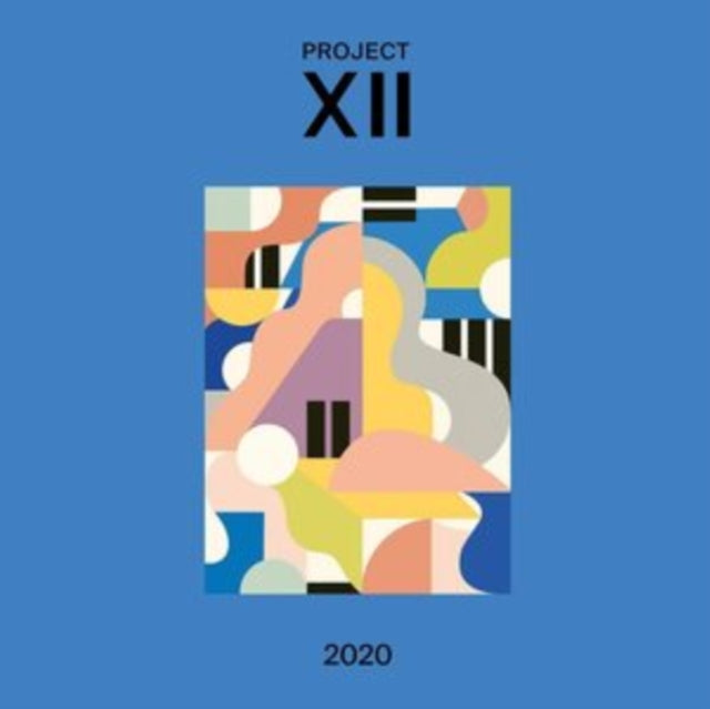 VARIOUS ARTISTS | XII 2020 | VINYL RECORD (LP)