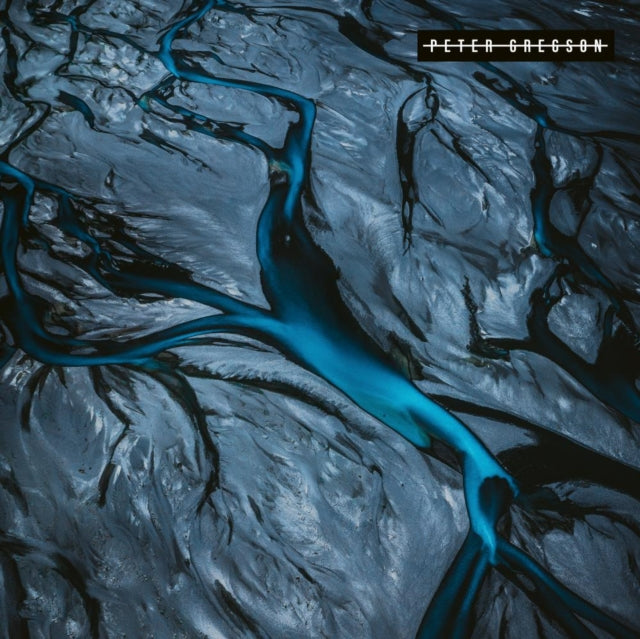 GREGSON, PETER | PATINA | VINYL RECORD (LP)