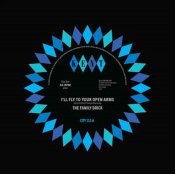 I’LL FLY TO YOUR OPEN ARMS/DID SHE DO IT TO YOU | 7IN VINYL