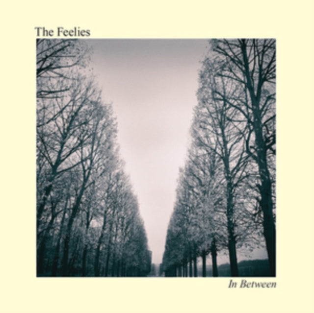 FEELIES | IN BETWEEN | VINYL RECORD (LP)