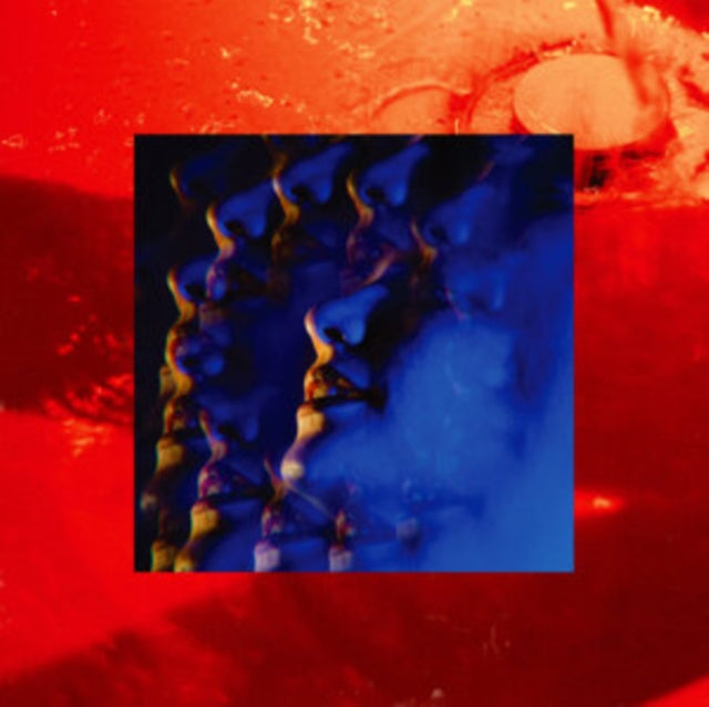 LITTLE HAG | LEASH (X) | VINYL RECORD (LP)