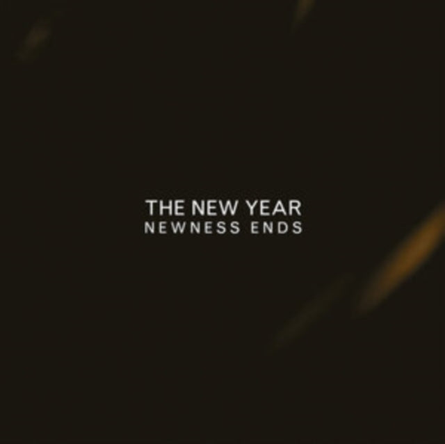 NEW YEAR | NEWNESS ENDS | VINYL RECORD (LP)