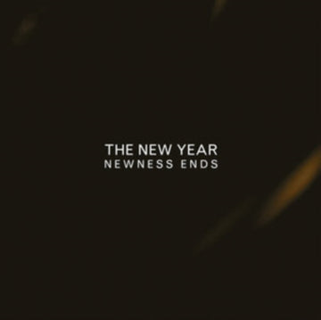 NEW YEAR | NEWNESS ENDS | VINYL RECORD (LP)