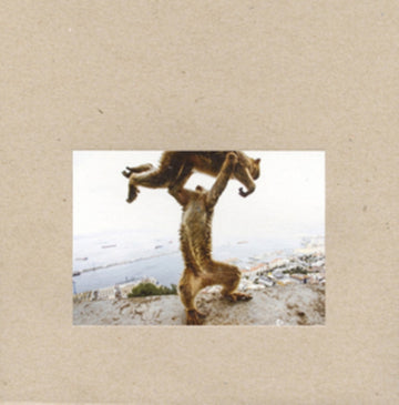 SHELLAC | DUDE INCREDIBLE | VINYL RECORD (LP)