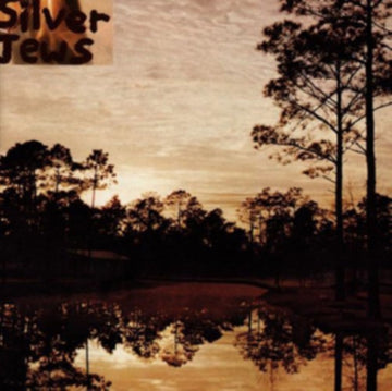 STARLITE WALKER | VINYL RECORD (LP)