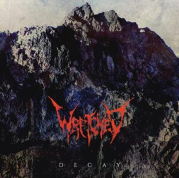 DECAY | VINYL RECORD (LP)