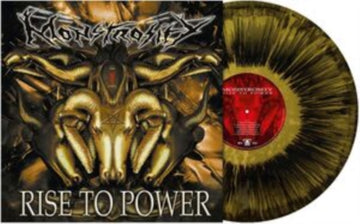 RISE TO POWER | VINYL RECORD (LP)