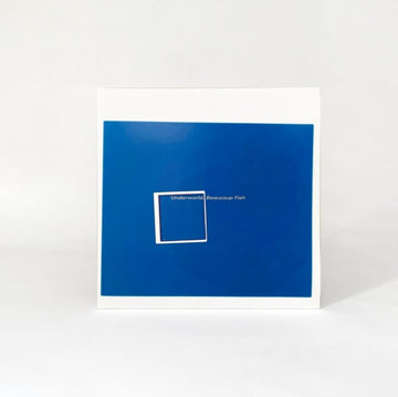 BEAUCOUP FISH (180G/2LP/HALF-SPEED) | VINYL RECORD (LP)