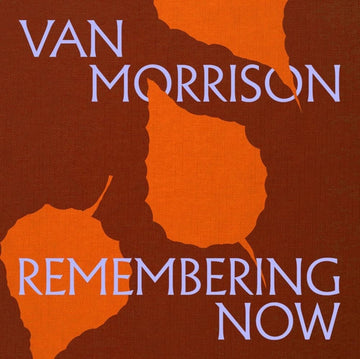 REMEMBERING NOW (2LP) | VINYL RECORD (LP)