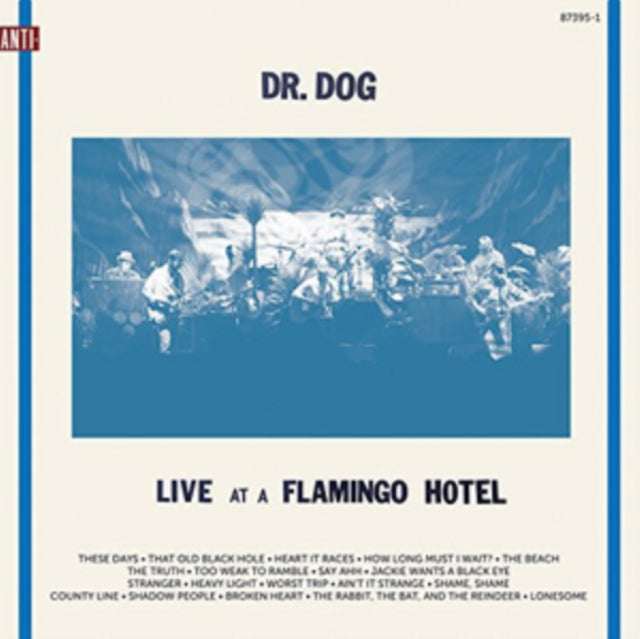 DR. DOG | LIVE AT A FLAMINGO HOTEL | VINYL RECORD (LP)