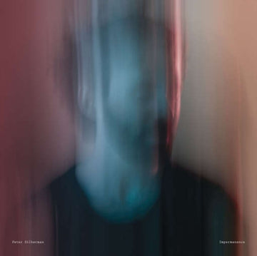 SILBERMAN, PETER | IMPERMANENCE (DL CARD) | VINYL RECORD (LP)