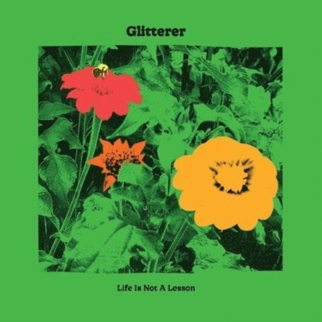 GLITTERER | LIFE IS NOT A LESSON | VINYL RECORD (LP)