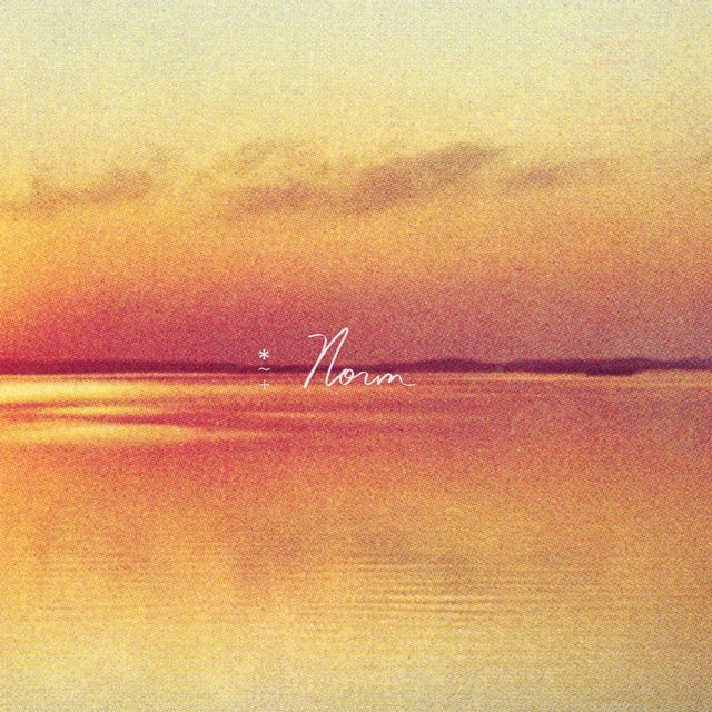 SHAUF, ANDY | NORM | VINYL RECORD (LP)