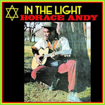 IN THE LIGHT | VINYL RECORD (LP)