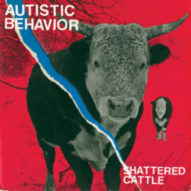 AUTISTIC BEHAVIOR | SHATTEREDCATTLE | VINYL RECORD (LP)