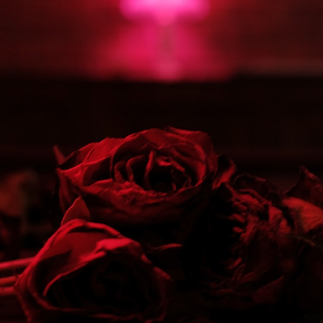 PAPER KITES | ROSES | VINYL RECORD (LP)