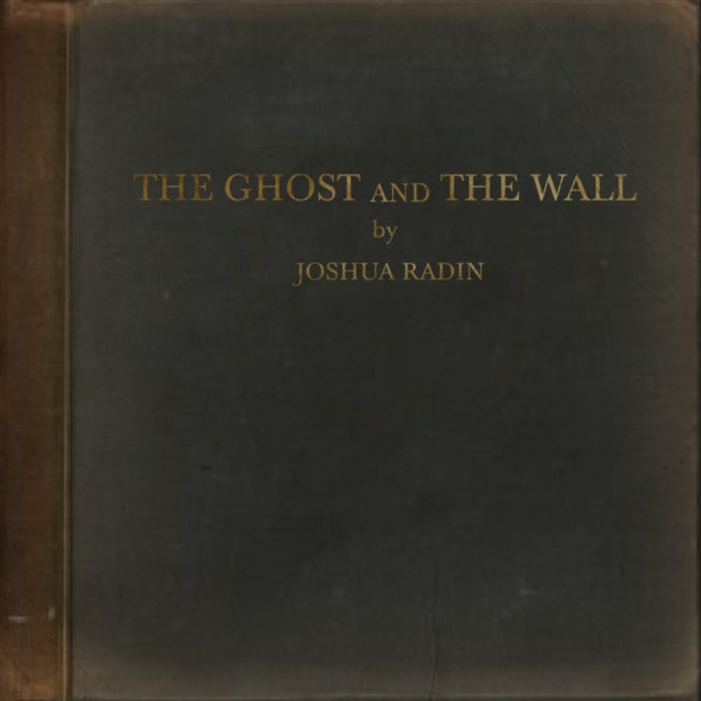 RADIN, JOSHUA | GHOST & THE WALL | VINYL RECORD (LP)