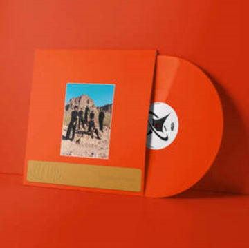 WELCOME TO THE MOOD | VINYL RECORD (LP)