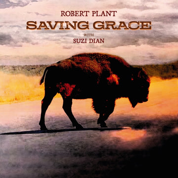 SAVING GRACE (140G) | VINYL RECORD (LP)