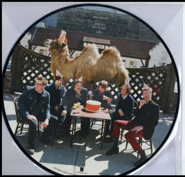 WILCO | WILCO (THE ALBUM) (PICTURE DISC) | VINYL RECORD (LP)