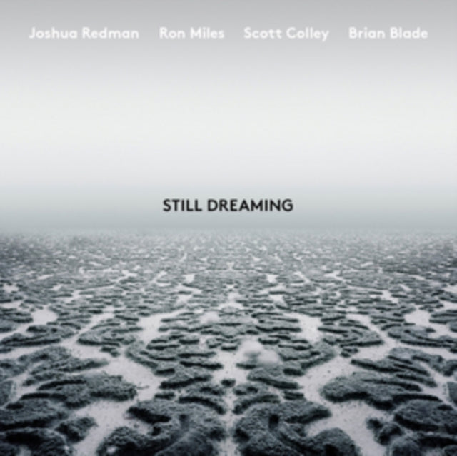REDMAN, JOSHUA | STILL DREAMING | VINYL RECORD (LP)