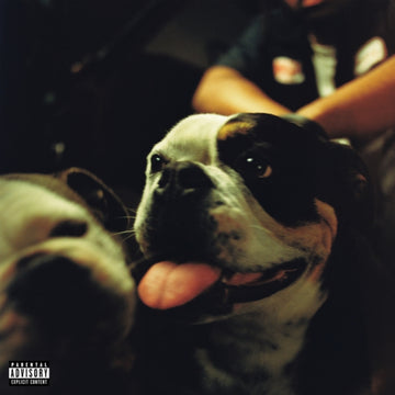 BULLDAWG (X) (RED SPLATTER VINYL/2LP) | VINYL RECORD (LP)