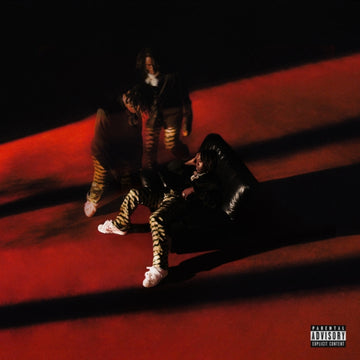 LIFE OF A DON (RED VINYL/2LP) | VINYL RECORD (LP)