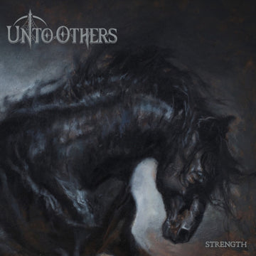STRENGTH | VINYL RECORD (LP)