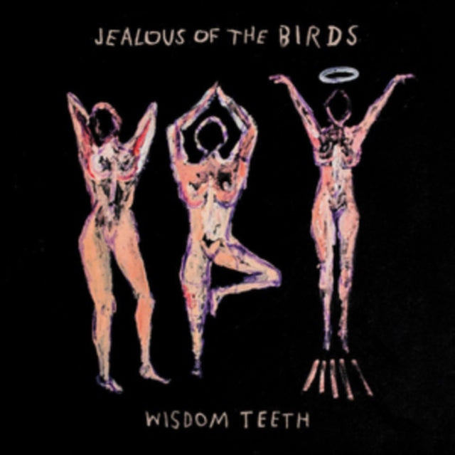 JEALOUS OF THE BIRDS | WISDOM TEETH | VINYL RECORD (LP)