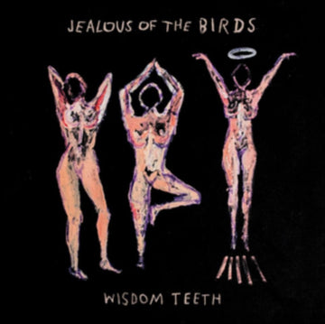 JEALOUS OF THE BIRDS | WISDOM TEETH | VINYL RECORD (LP)