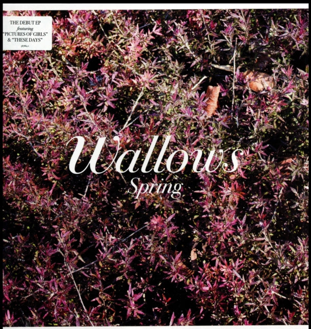 WALLOWS | SPRING EP (X) (PINK & GREEN VINYL) | VINYL RECORD (LP)
