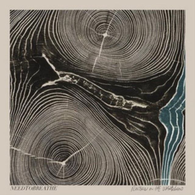 NEEDTOBREATHE | RIVERS IN THE WASTELAND | CD